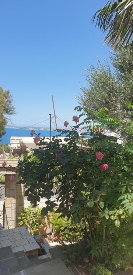 Redsun Apartment Avlonya Dış mekan fotoğraf